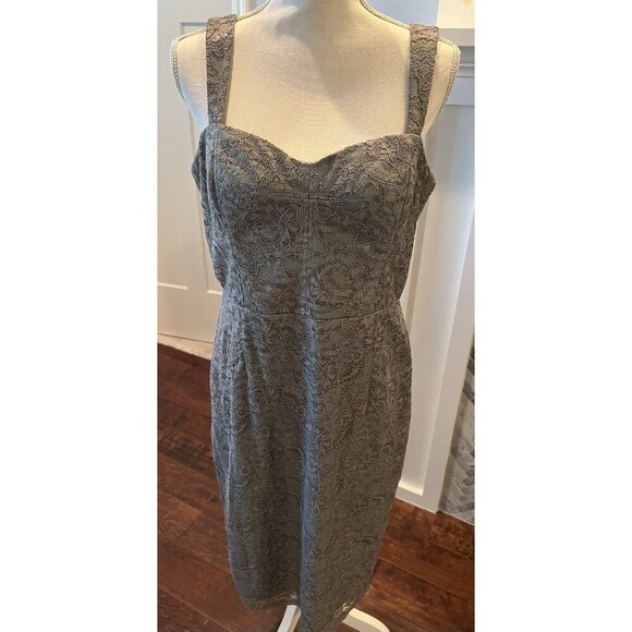Adrianna Papell Dress Size 12 Grayish-Sage Green w/Gold Shimmer Lace Overlay - Picture 1 of 10